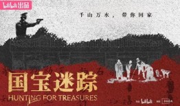 国宝迷踪在线观看,揭秘千年宝藏的神秘之旅